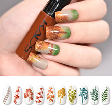 Load image into Gallery viewer, KADS Red Series Nail Art Stamping Print 1 Bottle Stamping Nail Lacquer of Acrylic Paint Tool for All Season Using Nail Polish