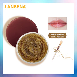 Lanbena Lip Scrub Lip Plumper Lip Mask Brown Sugarlip Polish Lip Balm Lip Care Moisturizing Exfoliating Skin Care Sleeping Mask